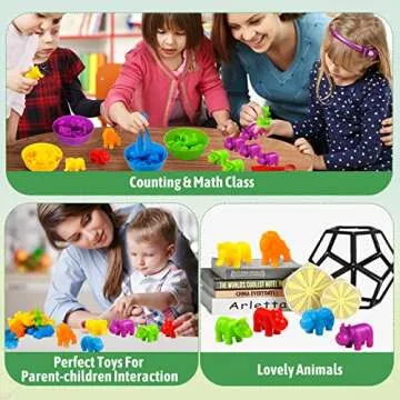 RAEQKS Counting Sorting Toys for Preschool Learning Activities