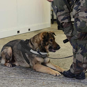 Bolux No-Pull Dog Harness for Small Breeds - Adjustable Fit