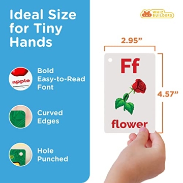 144 Toddler Flash Cards for ABCs, Numbers, Colors & Shapes