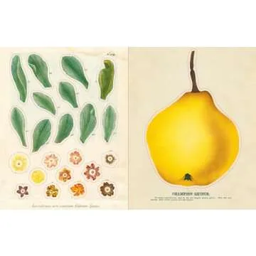 John Derian Sticker Book (John Derian Paper Goods)