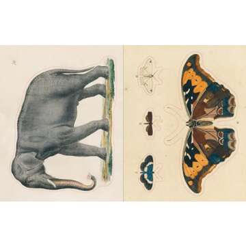 John Derian Sticker Book (John Derian Paper Goods)