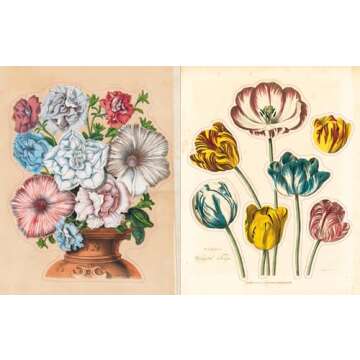 John Derian Sticker Book (John Derian Paper Goods)