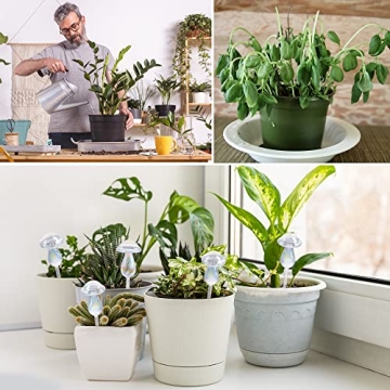 jiuhexuj Self-Watering Plant Globes for Easy Plant Care