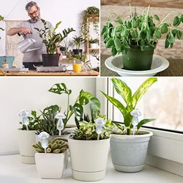 jiuhexuj Self-Watering Plant Globes for Easy Plant Care