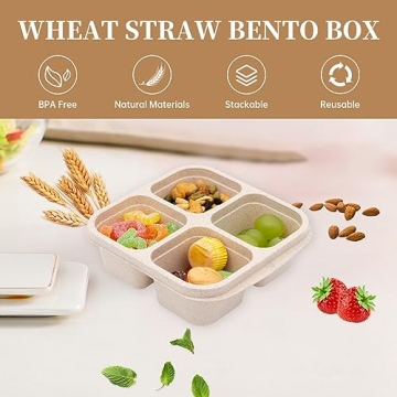 rngwaper 5 Pack Bento Lunch Box，4 Compartment Snack Containers，Divided Bento Snack Box，Meal Prep, Lunch Box Kids/Toddle/Adults,Food Storage Containers for School, Work and Travel (Multicolor-1)