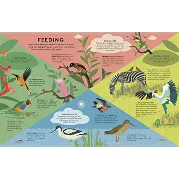 Reptiles Everywhere - A Colorful Adventure for Kids
