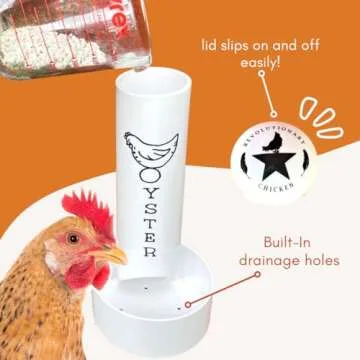 Durable Chicken Oyster Shell Feeder Combo for Healthy Hens