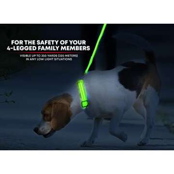 Illumiseen LED Dog Collar USB Rechargeable - Bright & High Visibility Lighted Glow Collar for Pet Ni...