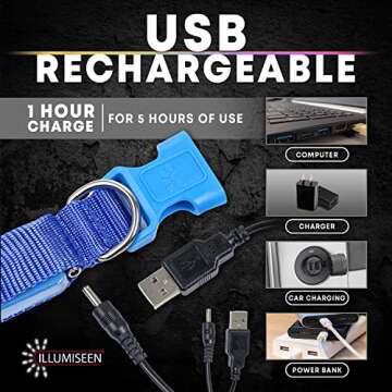 Illumiseen LED Dog Collar USB Rechargeable - Bright & High Visibility Lighted Glow Collar for Pet Night Walking - Weatherproof, in 6 Colors & 6 Sizes (Green X-Large)