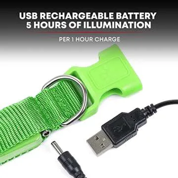 Illumiseen LED Dog Collar USB Rechargeable - Bright & High Visibility Lighted Glow Collar for Pet Night Walking - Weatherproof, in 6 Colors & 6 Sizes (Green X-Large)