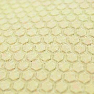 Fanmats NBA - Portland Trail Blazers 5 x 8 Rug