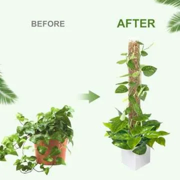 GROWNEER 4 Packs 24 Inch Plastic Moss Pole for Plants Monstera, Stackable Plant Support for Indoor Climbing Plants, Clear Plant Poles with 10FT Garden Ties Work with Sphagnum Moss