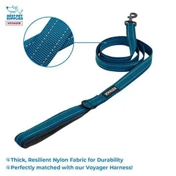 Voyager Step-in Air All Weather Mesh Harness and Reflective Dog 5 ft Leash Combo with Neoprene Handle, for Small, Medium and Large Breed Puppies by Best Pet Supplies - Blue, Small