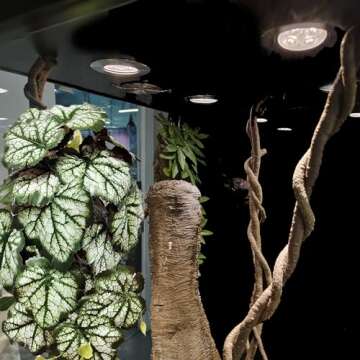 Woyrise Reptile Plants, Terrarium Hanging Plants Vines for Reptile Tank, Amphibian Habitat Leaves De...