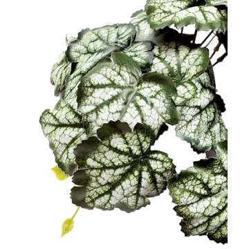 Woyrise Reptile Plants, Terrarium Hanging Plants Vines for Reptile Tank, Amphibian Habitat Leaves Decor with Suction Cups for Bearded Dragon Lizard Snake Gecko Frog Hermit Crab - 2Pack Green Heuchera