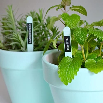 Brother P-Touch PT-D210 Easy-to-Use Label Maker Bundle