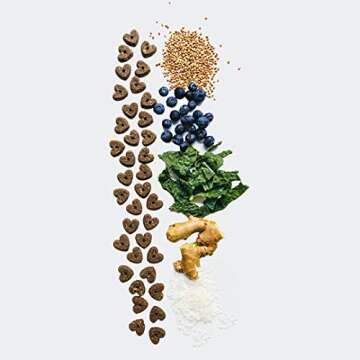 V-Dog Vegan Wiggle Biscuit Organic Dog Treats, Peanut Butter, 10 Ounce, Superfoods