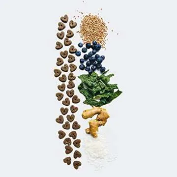 V-Dog Organic Vegan Wiggle Biscuit Dog Treats - Peanut Butter