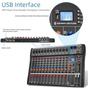 Depensheng DX12 DJ Sound Controller Interface w/USB Drive for Computer Recording 12-Channel Studio Audio Mixer - XLR Microphone Jack, 48V Power, RCA Input/Output for Professional and Beginners