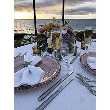 Exquisite Glass Charger Plates with Beaded Rim - Set of 4