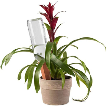 Plant Self-Watering Stakes for Effortless Gardening