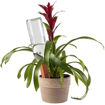 Plant Self-Watering Stakes for Effortless Gardening