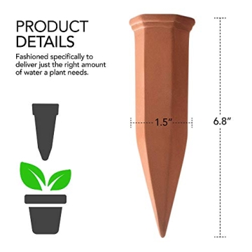 Plant Self-Watering Stakes for Effortless Gardening