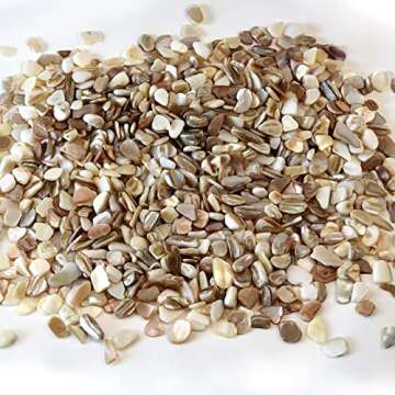 QICQDRAM Crushed Shells for Crafts - 1LB Decorative Shells for DIY