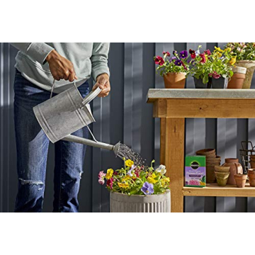 Miracle-Gro Bloom Booster Flower Food for Vibrant Gardens