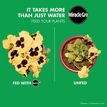 Miracle-Gro Bloom Booster Flower Food for Vibrant Gardens