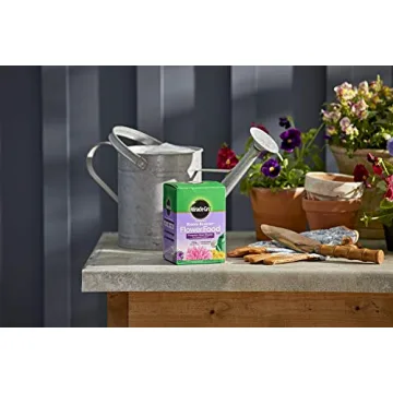 Miracle-Gro Bloom Booster Flower Food for Vibrant Gardens