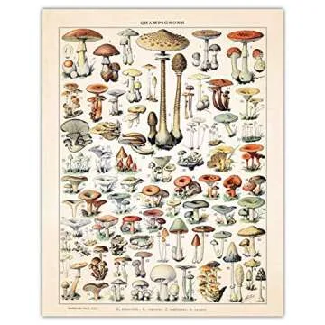 Vintage Mushroom Botanical Farmhouse Wall Art Poster Print, Set of 2, 11x14 Boho Flower Decoration P...