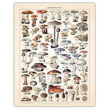 Vintage Mushroom Botanical Farmhouse Wall Art Poster Print, Set of 2, 11x14 Boho Flower Decoration Prints, Nature Pictures, Aesthetic Floral Posters for Bedroom, Bathroom, Kitchen & Office Decor