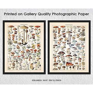 Vintage Mushroom Botanical Farmhouse Wall Art Poster Print, Set of 2, 11x14 Boho Flower Decoration Prints, Nature Pictures, Aesthetic Floral Posters for Bedroom, Bathroom, Kitchen & Office Decor