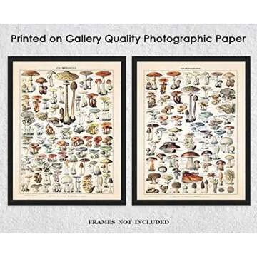 Vintage Mushroom Botanical Farmhouse Wall Art Poster Print, Set of 2, 11x14 Boho Flower Decoration Prints, Nature Pictures, Aesthetic Floral Posters for Bedroom, Bathroom, Kitchen & Office Decor