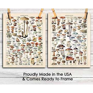 Vintage Mushroom Botanical Farmhouse Wall Art Poster Print, Set of 2, 11x14 Boho Flower Decoration Prints, Nature Pictures, Aesthetic Floral Posters for Bedroom, Bathroom, Kitchen & Office Decor