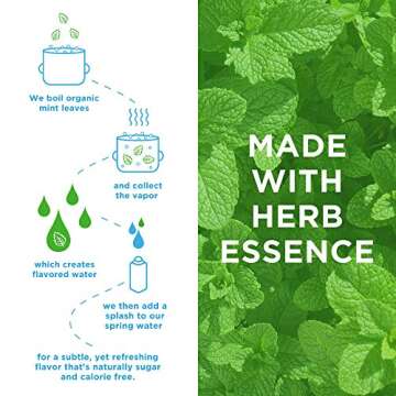 JUST Water Infused Mint Spring Water - Eco-Friendly and Refreshing