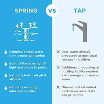 JUST Water Infused Mint Spring Water - Eco-Friendly and Refreshing