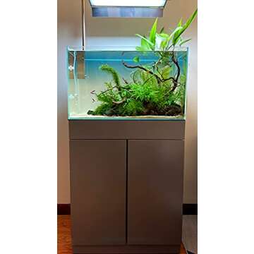 Allcolor Ultra Clear Rimless Aquarium for Fish Lovers