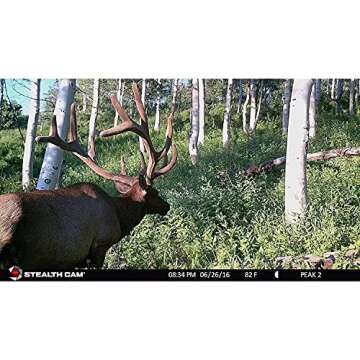 Stealth Cam AT&T Wireless 22 Megapixel Trail Cam