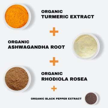 vedge Nutrition Turmeric+ | Organic Ayurvedic 3-in-1 Formula – Turmeric Root, Ashwagandha & Rhodio...