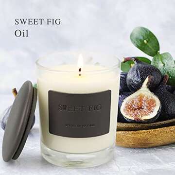 Candles, Premium Figs & Cedar | Highly Scented Candles for Home | 7.8 oz 50 Hour Burn, Glass Jar Candles, All Natural Soy Candles | Leather High-end Design Aromatherapy Candles with Gift Box