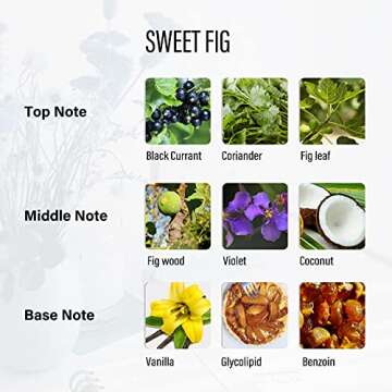 Candles, Premium Figs & Cedar | Highly Scented Candles for Home | 7.8 oz 50 Hour Burn, Glass Jar Candles, All Natural Soy Candles | Leather High-end Design Aromatherapy Candles with Gift Box