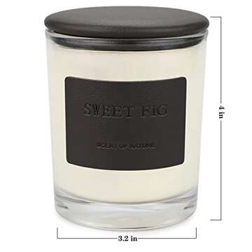 Candles, Premium Figs & Cedar | Highly Scented Candles for Home | 7.8 oz 50 Hour Burn, Glass Jar Candles, All Natural Soy Candles | Leather High-end Design Aromatherapy Candles with Gift Box