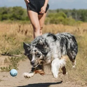 Chuckit! Whistler Ball Toy For Dogs 20-60 lbs, 2.5 Inch