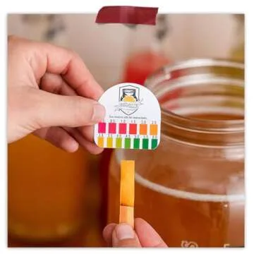 Kombucha Essentials Kit - Includes USDA Organic Kombucha SCOBY + 1-Gallon Glass Fermenting Jar with Breathable Cover + pH Strips + Rubber Band + Adhesive Thermometer - Brew kombucha at Home