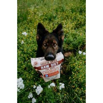Complete & Balanced Freeze Dried Raw Diet for Dogs, Beef Recipe, 12 oz Bag
