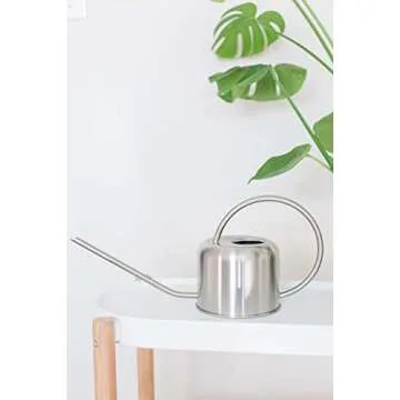 Stainless Steel Watering Can for Indoor Plants | 1L Capacity