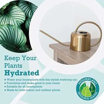 Stainless Steel Watering Can for Indoor Plants | 1L Capacity