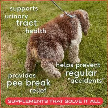 Native Pet Dog & Cat UTI Treatment - 120 Chicken Chews with Cranberry - Bladder Control for Urinary Tract Infection - UTI Medicine for Dogs - Urinary Tract Cat Food - Pet Health